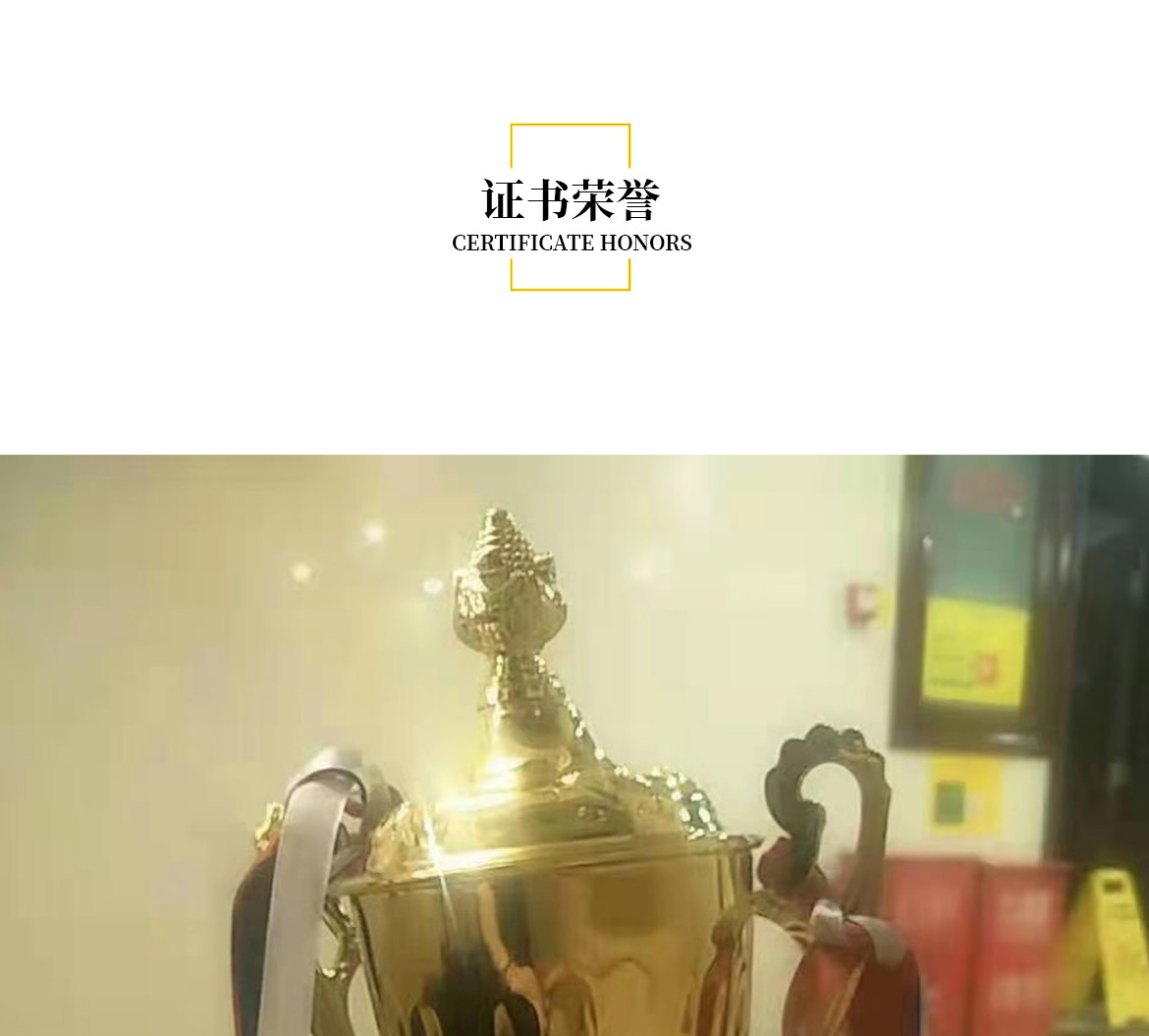 无简介模板1_05.jpg